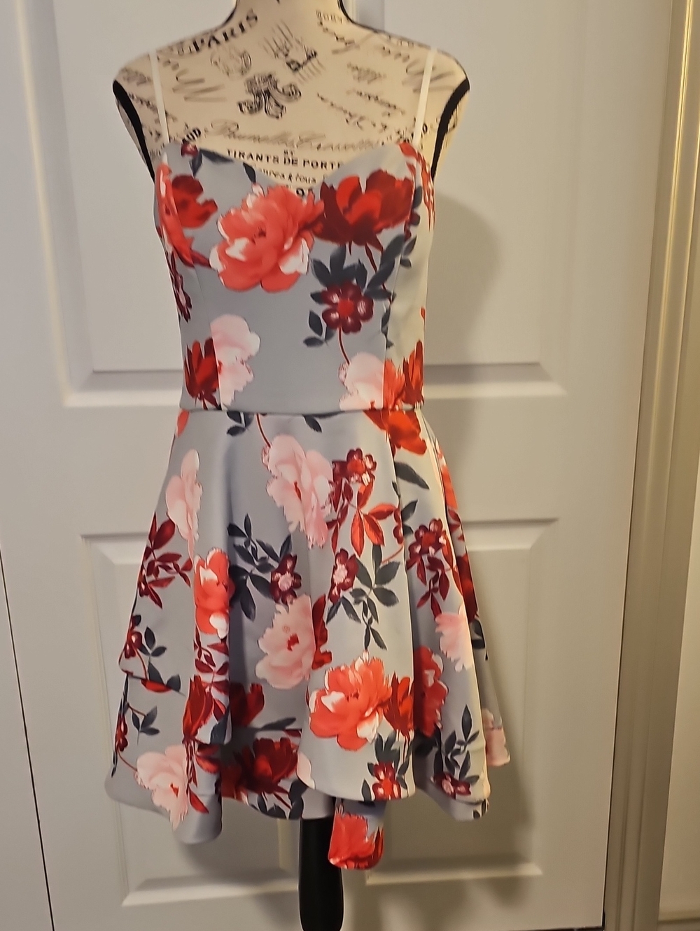 Floral Spaghetti-Strap Fit & Flare Dress in Light Gray with Red Floral Print
